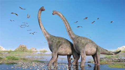 L Origine des Dinosaures | Magic Dino