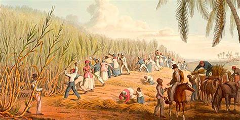 La agricultura en América Colonial | Historia Universal