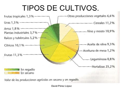 La agricultura en españa 2º Bachillerato