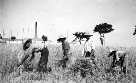 La agricultura española en el siglo XIX