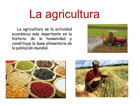 La agricultura, tipos y principales cultivos en la ...