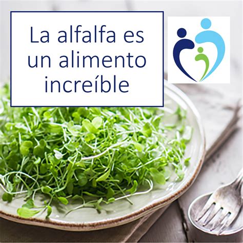 La alfalfa es un alimento increíble | Byram Healthcare