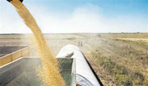 La Argentina se abre a la importación de soja | Supercampo