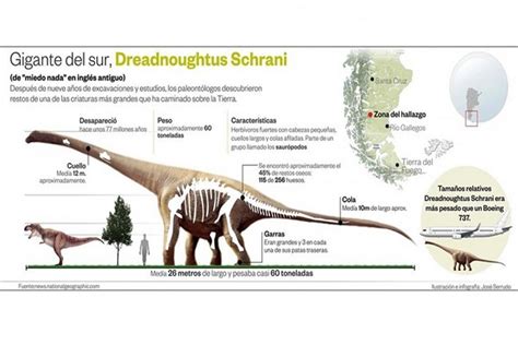 La Argentina sigue dando dinosaurios gigantes a la paleontología ...