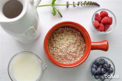 La avena: el cereal aliado para tu salud   Blog Conasi