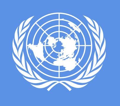 La bandiera dell ONU