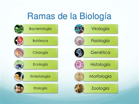 La biologia