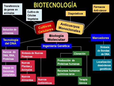 La Biotecnología: Qué es la biotecnología
