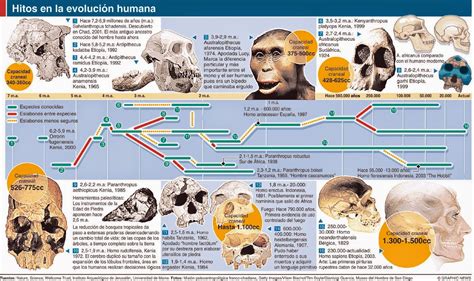 la Caverna del Escriba: La Evolución Humana