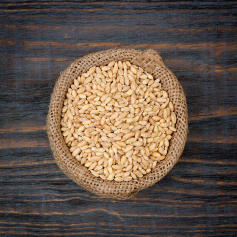 La cebada: Un cereal rico en fibra