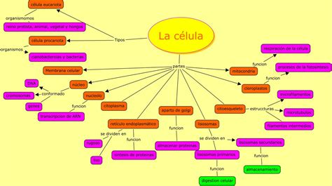 La célula: Mapa Conceptual La Celula