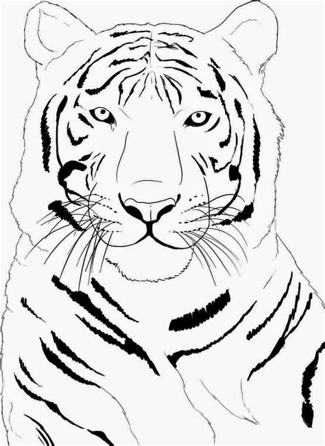 La Chachipedia: Dibujos de tigres para colorear y para ...
