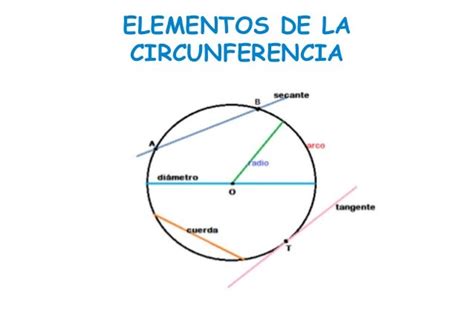 La circunferencia y los cuadriláteros