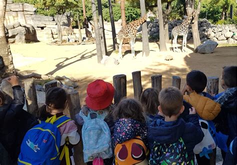 LA CLASSE AKUNA MATATA VISITA EL SAHEL | Zoo Barcelona