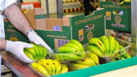 La comercialización del plátano de Canarias pasa a manos ...