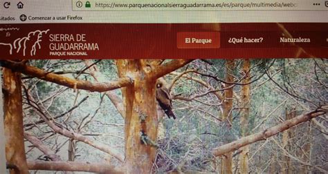 La Comunidad de Madrid instala una webcam en un nido de Águila Calzada ...