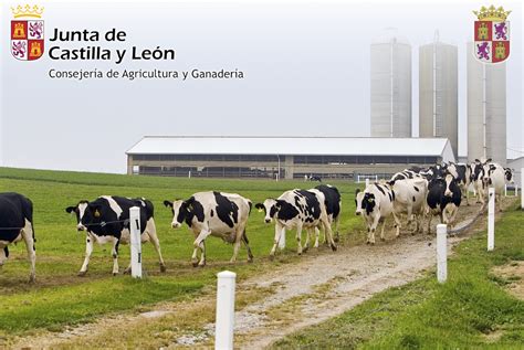 La Consejería de Agricultura, Ganadería y Desarrollo Rural ...