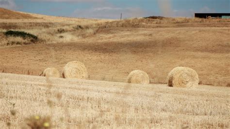 La Consejería de Agricultura suscribe un convenio con los ...