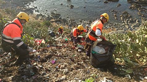 La Consejería de Medio Ambiente limpia los acantilados del Recinto Sur ...