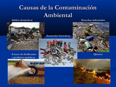 la contaminacion ambiental: la contaminacion ambiental mundial