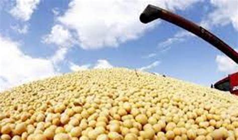La cotización de la soja registró un incremento del 39% en 2020   El ...