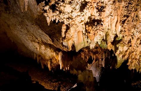 La Cueva de Pozalagua en Carranza, Vizcaya | Actividades ...