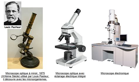 La découverte de la cellule et l invention du microscope ...