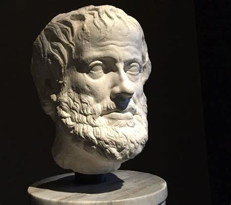 La Definición de Filosofía según Aristóteles   Lifeder