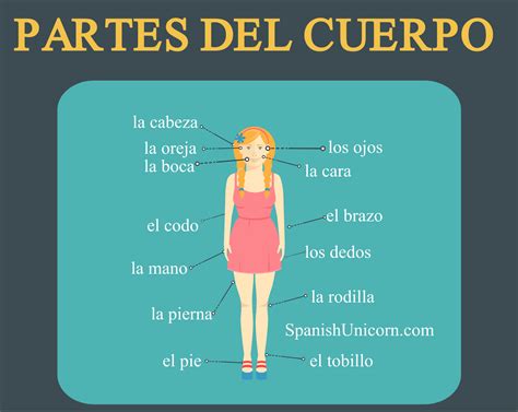 La descripción física en español con ejercicios