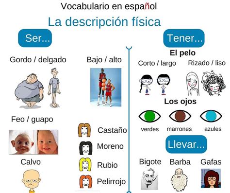 La descripción física en español. Vocabulario en español. Spanish ...