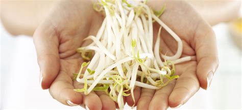 La dieta de la soja:¿es realmente eficaz para adelgazar?