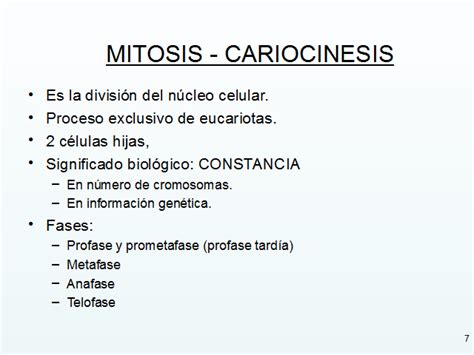 La división celular. Mitosis y citocinesis   Monografias.com