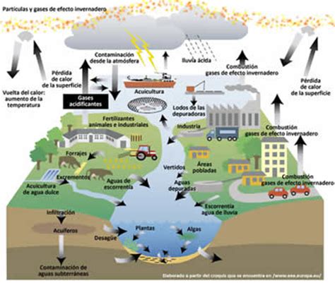 La educación ambiental: instrumento de apoyo en la gestión ...