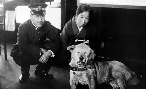 La emocionante historia de Hachikō, el perro más leal del ...