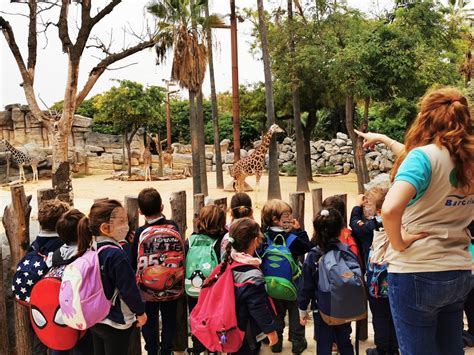 La escuela Montserrat nos visita! | Zoo Barcelona