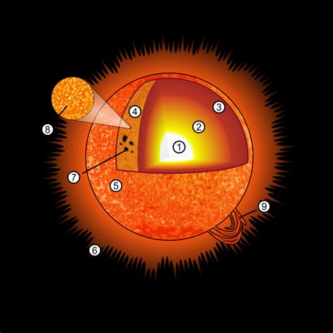 La estructura del Sol