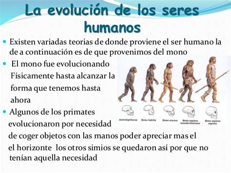La evolucion de los seres humanos  1
