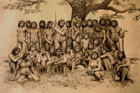 La evolución del género Homo timeline | Timetoast timelines