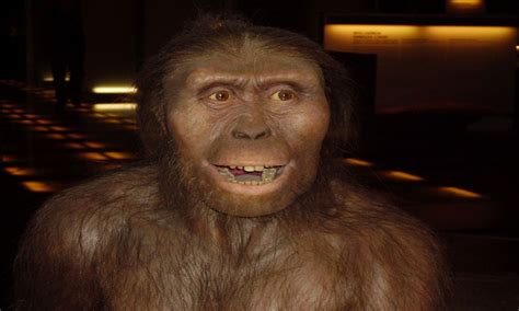 La evolución del Hombre: Homínidos Australopithecus ...
