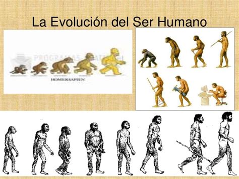 La evolución del ser humano