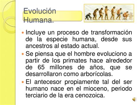 La evolución humana