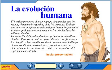 La evolución humana | Recurso educativo 40848   Tiching