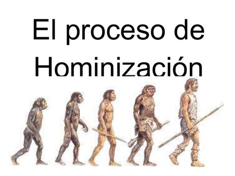 La evolución humana u hominización es el proceso de ...