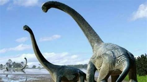 La extinción de los dinosaurios pudo ser gradual antes del ...