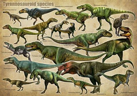 la familia del tyranosaurio #dinosaur | Animales de la prehistoria ...