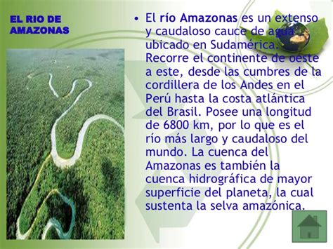 La flora y fauna de la amazonia 3