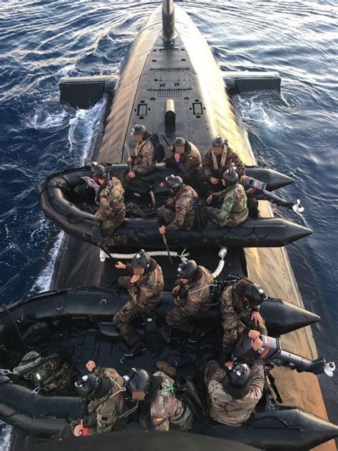 La Fuerza de Guerra Naval Especial de la Armada española ...