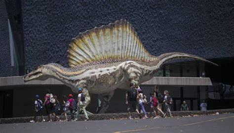 La gran aventura del ferotge dinosaure nedador | Cultura ...