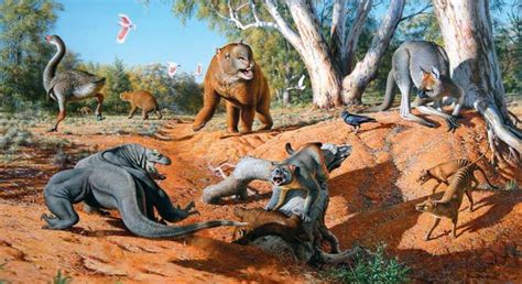 La Gran Extinción de la Megafauna Terrestre: Australia   Un Universo ...