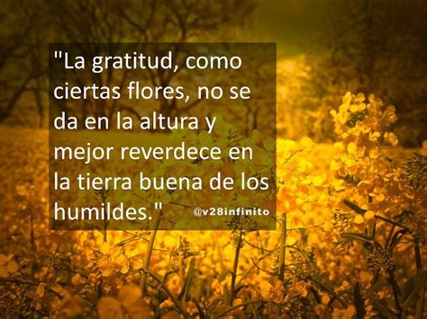 La gratitud como ciertas flores | Frases de agradecimiento, Palabras de ...